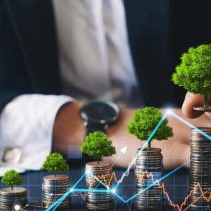 Smart Money Habits for Life